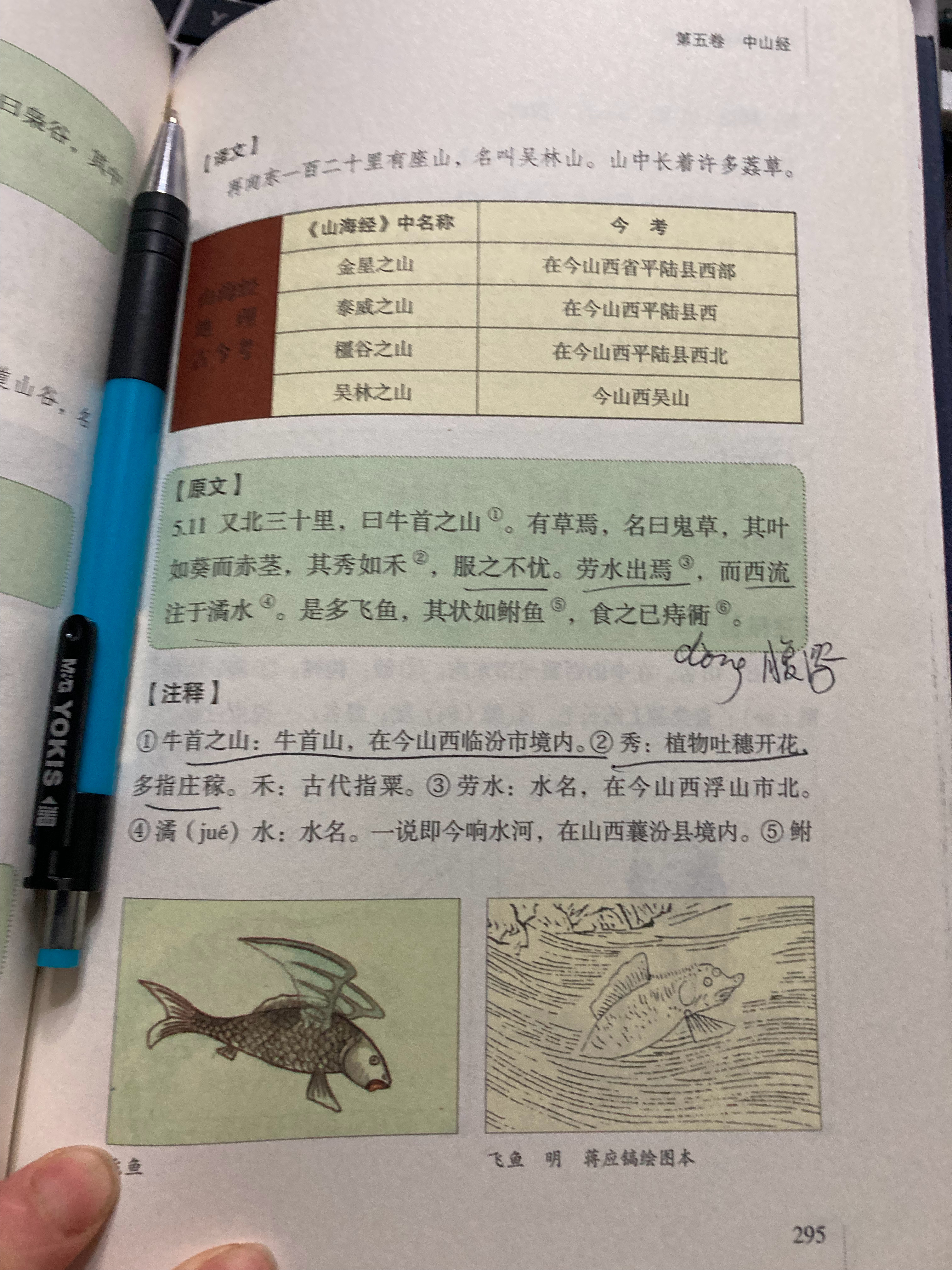 #杨紫国色芳华##特别陪伴杨紫何惟芳160天# 读书72天打卡《山海经》读到29