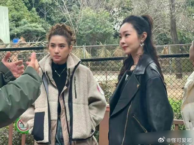 这就是明星和千金的区别吧！ ​​​