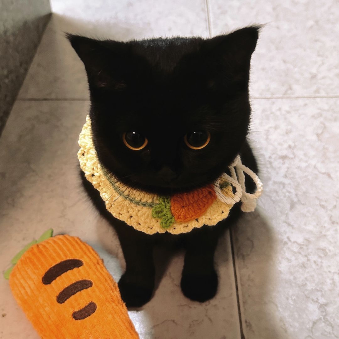 宝宝你是一块饭后点心