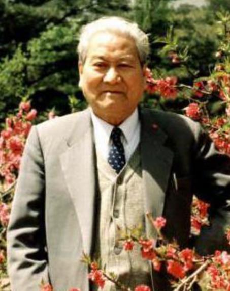 一位参与过三峡大坝的老人曾经透露，这件事90％是人都不知道，其实最开始计划修三峡