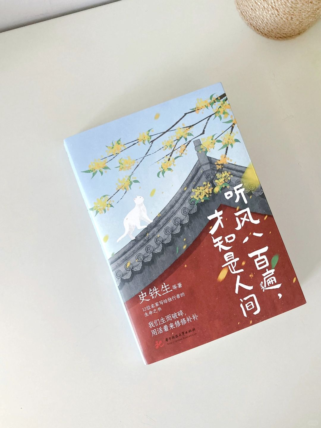 一眼沦陷❗️无法抗拒的治愈散文❗️