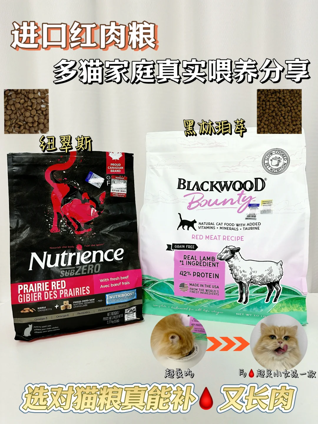 share｜多猫家庭两款进口红肉猫粮实测分享