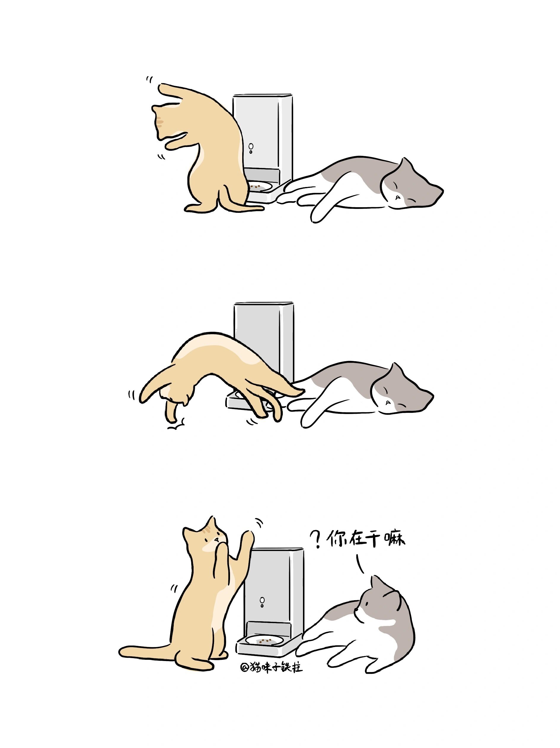 啊，这个世界就是个巨大的出粮桶 ​​​