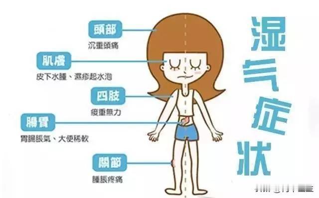 湿气重？试试这几个中成药

1.附子理中丸
组成：附子、人参、干姜、甘草、白术。