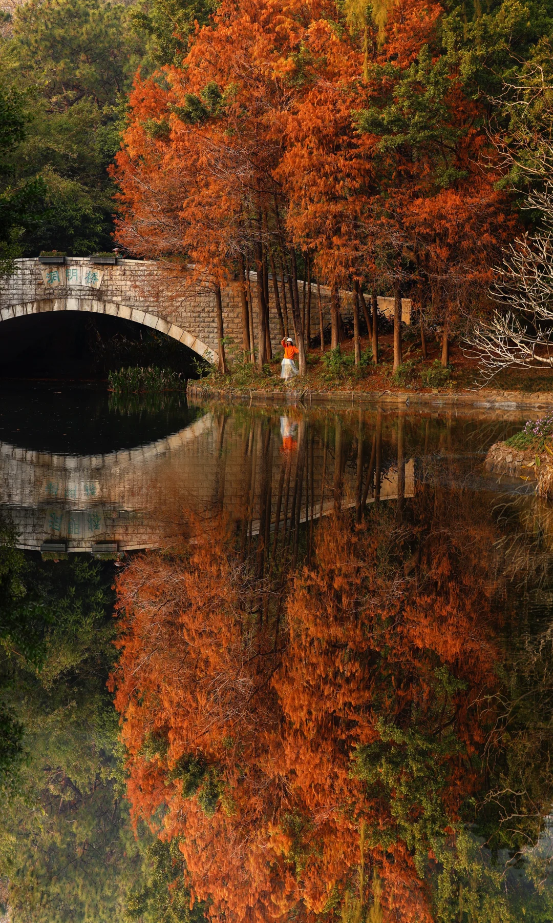 今天的笔架山公园🍁冬天的深圳真的很浪漫～