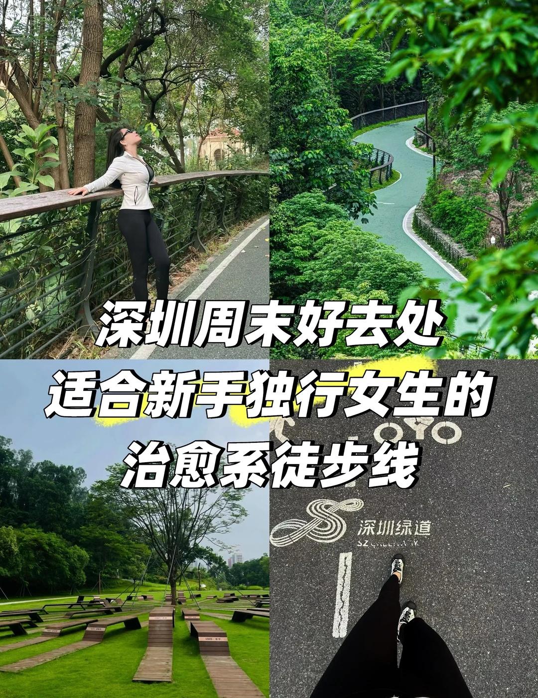 一个人爬完这条“人才绿道”，我才读懂深圳……
这条藏在深圳北站旁的宝藏徒步线，简