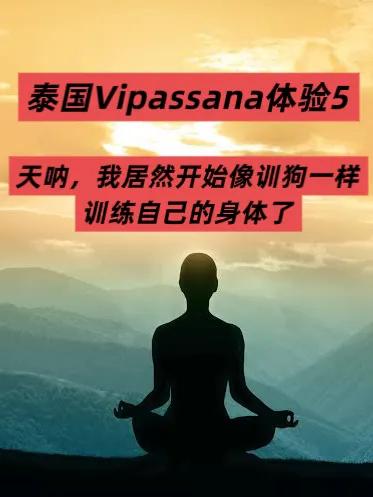 你相信因果吗？内观正式开始的第二天，每次如坐针毡时，或者是每次思绪飘远，我都会提