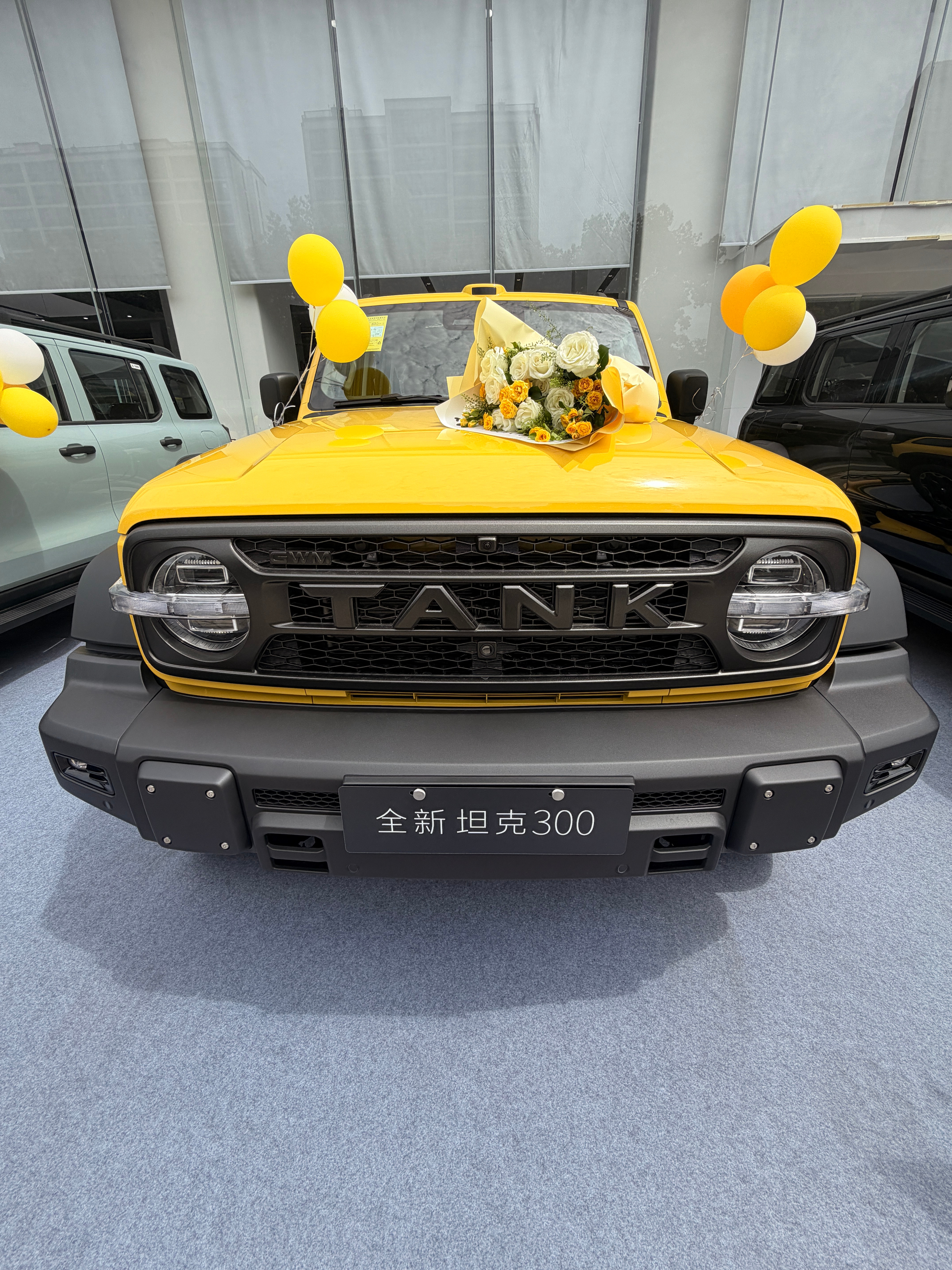 全新坦克300🚗提车！！！！！ 杭州