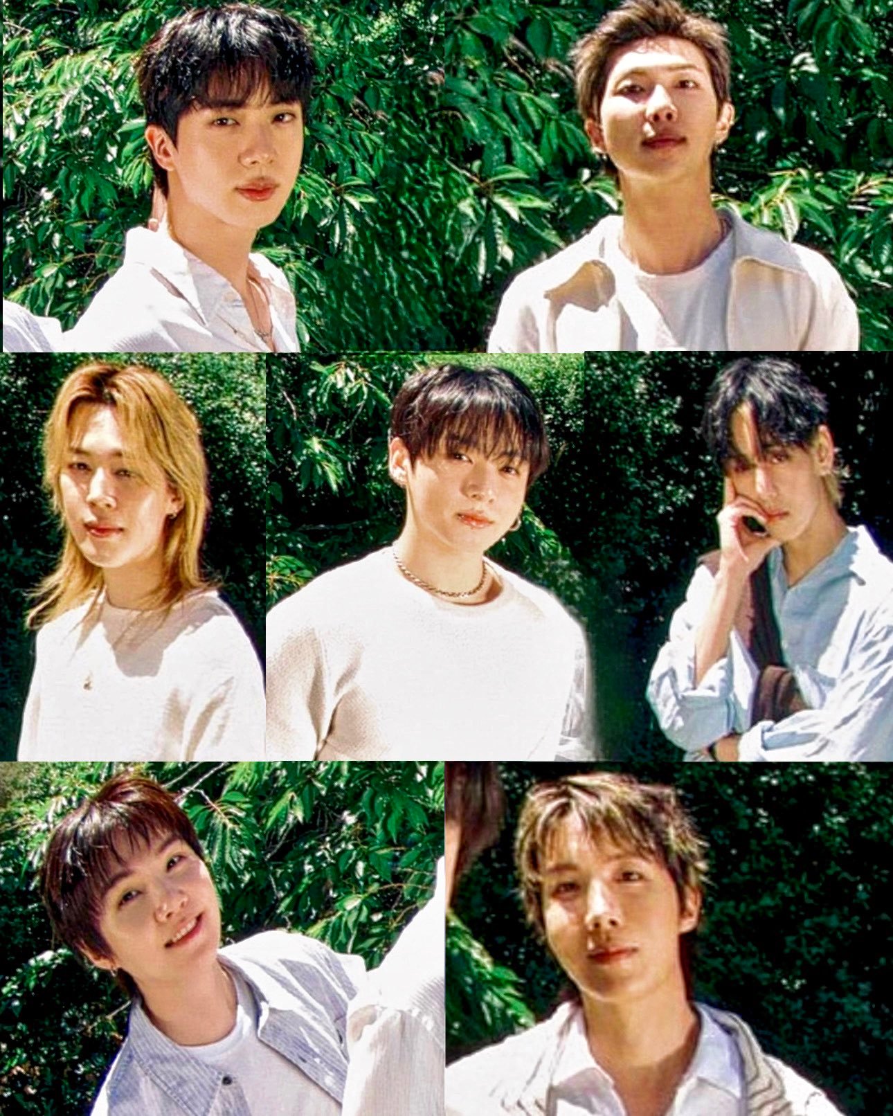🍀🌱🌿🍃——7/btsdaily77 