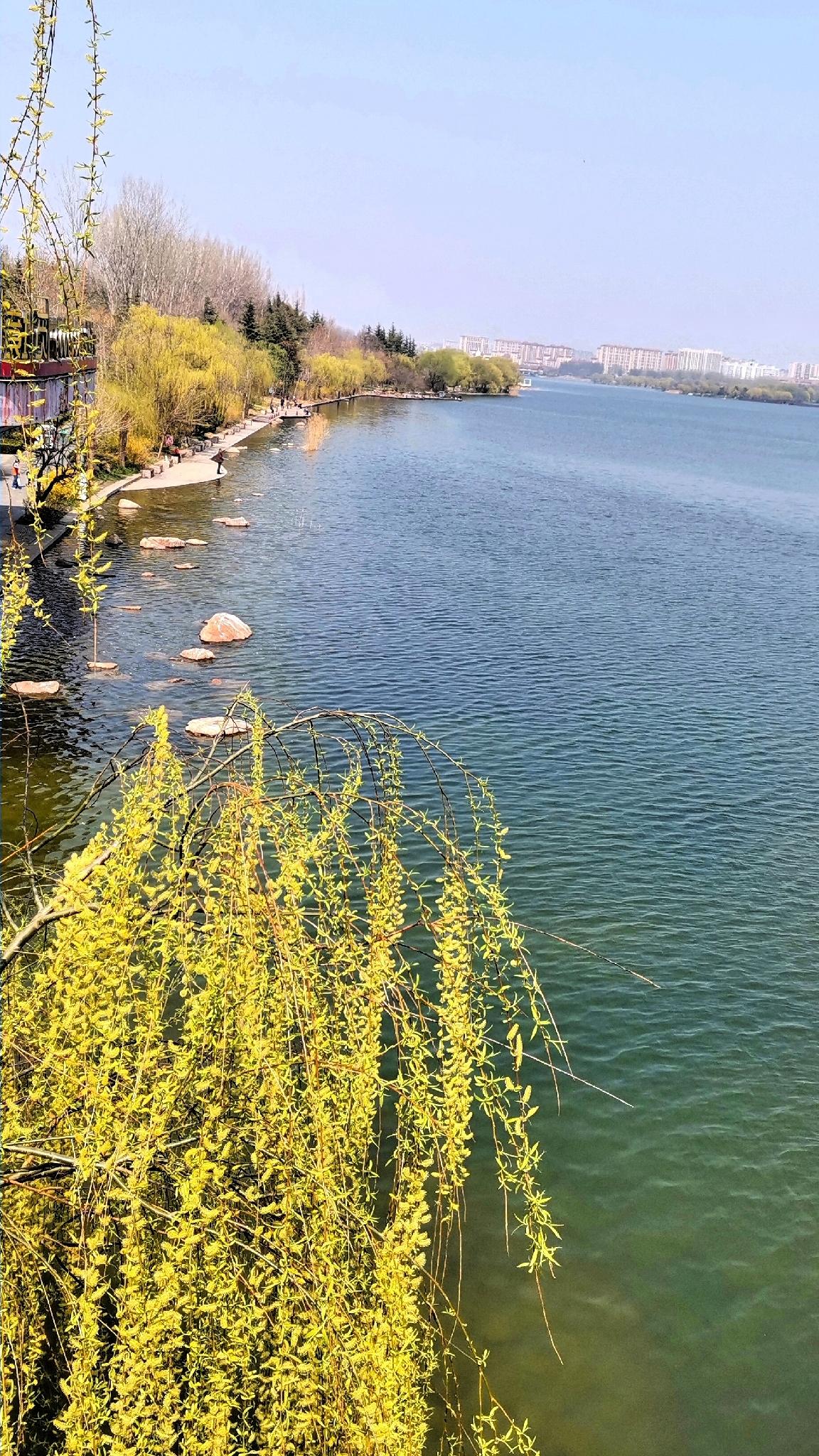 春风拂岸柳丝长，
路边繁花映斜阳。
信步寻幽心自静，
缕缕风来送暗香。