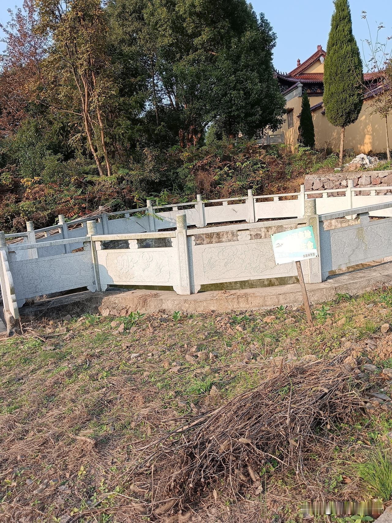 男孩，女孩发育阶段不一样