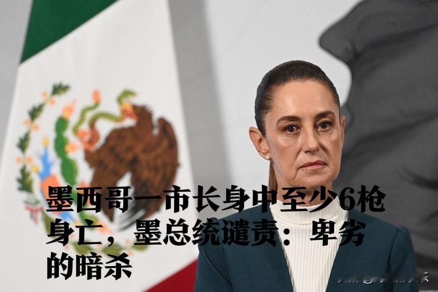 墨西哥一市长身中至少6枪身亡，墨总统谴责：卑劣的暗杀

   据外媒报道当地时间