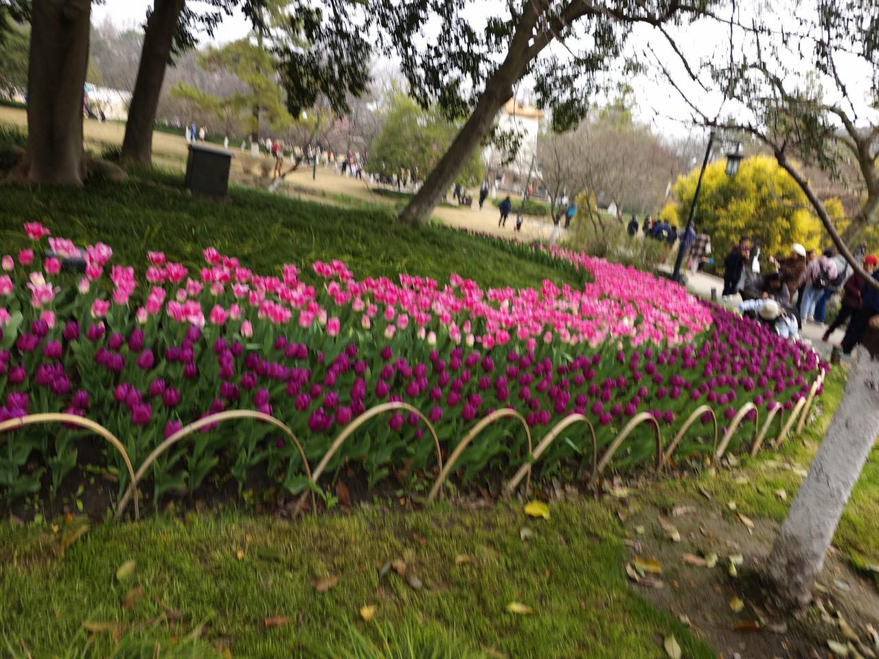 其实国际事务不是用这么简单的战力衡量，就像塔利班，跟美国能比吗？可老美一样灭不了