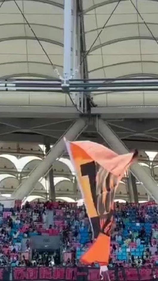 TF家族新音现场出现了所有人都不敢扯的灯牌，还得是TFBOYS祖师爷啊太权威了 