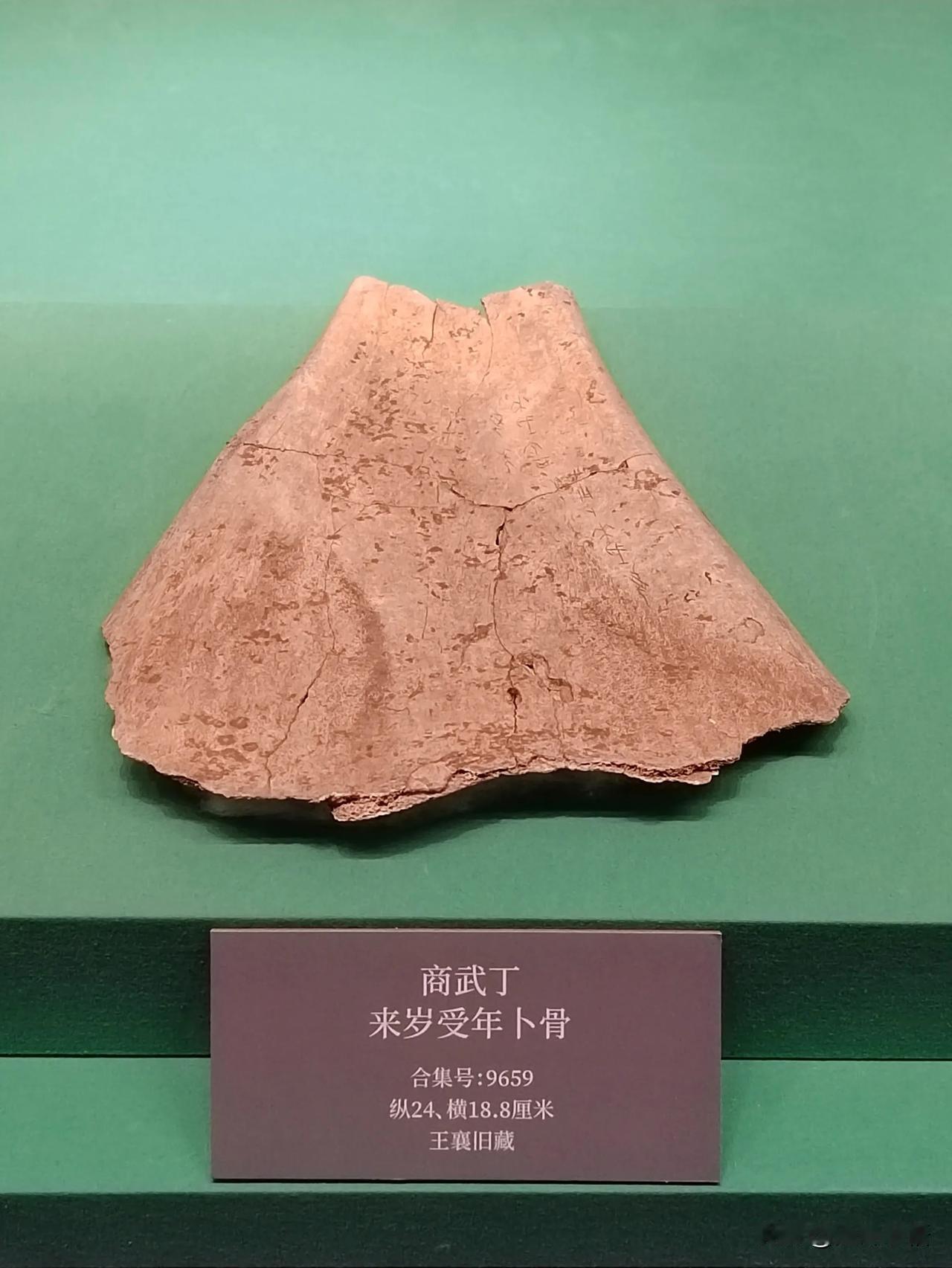 王入大邑商（十一）
——天津博物馆藏武丁卜辞探亲展