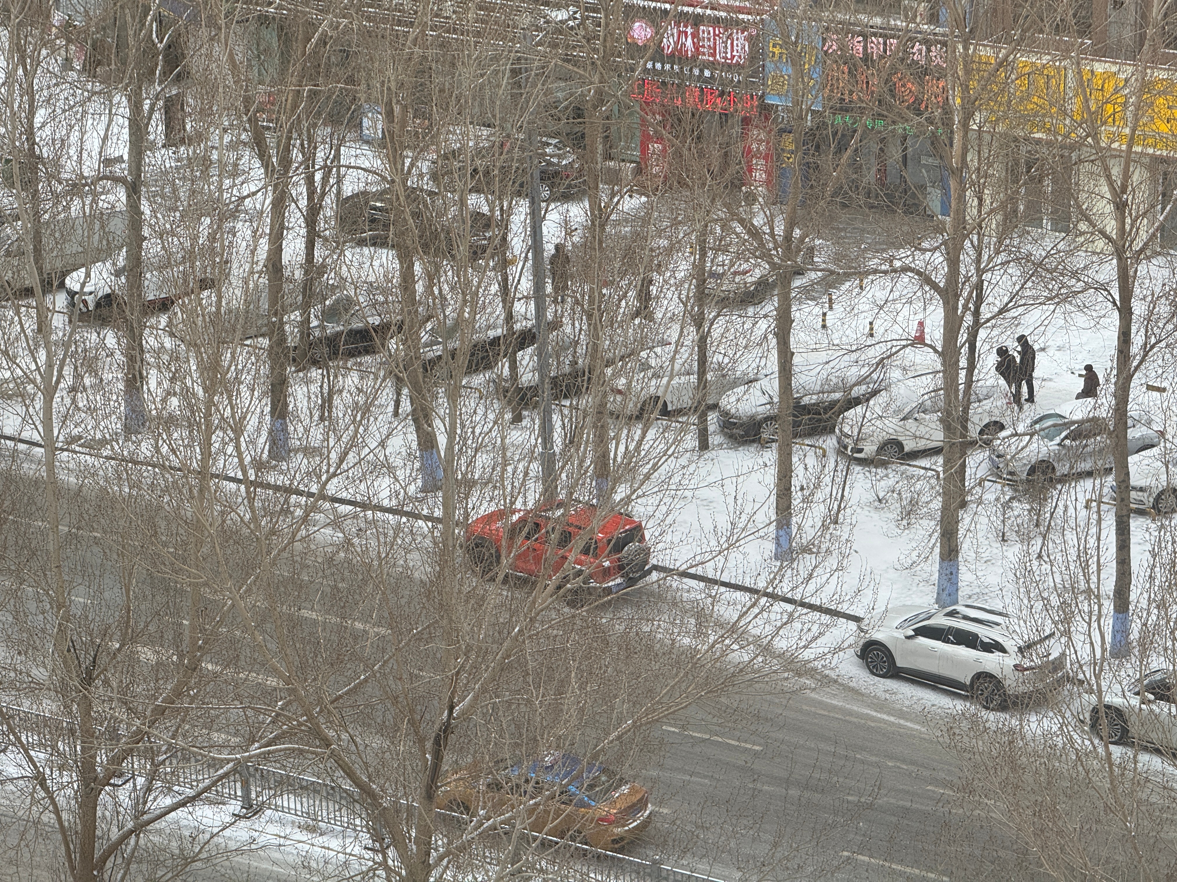 iPhone长焦 出片？？？认真的吗？我认真翻了一下iPhone相册，真的，只能