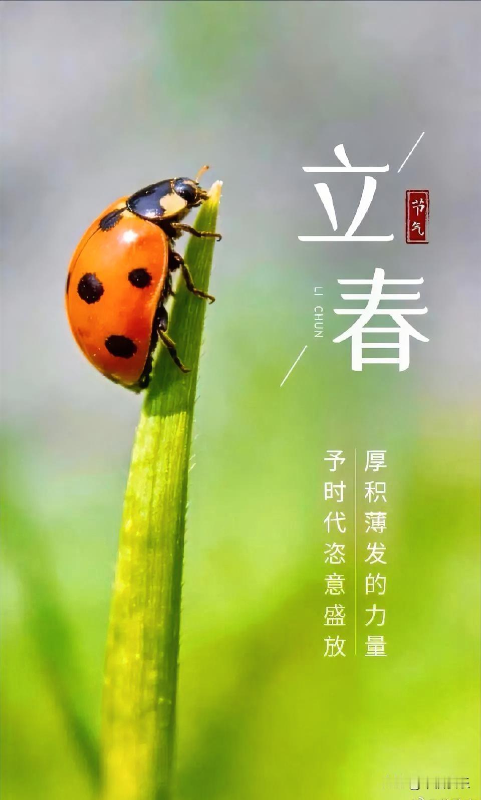 2026.02.04
今日立春
健康，快乐