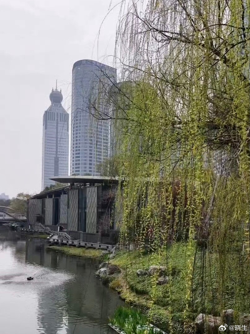 我个人对ai的感受来说吧，就是ai代替“工具化”的产出是必然，但真别替代艺术创作