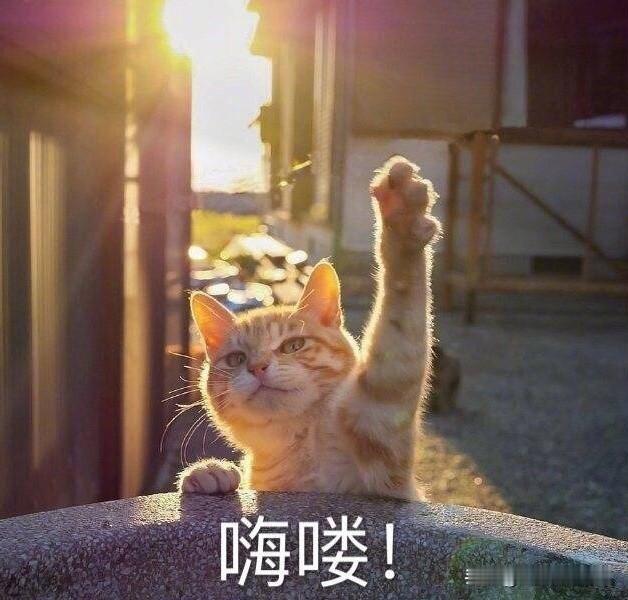 陌生场合，12星座谁会先打破沉默？

撑不过30秒：
白羊、双子、狮子、射手
