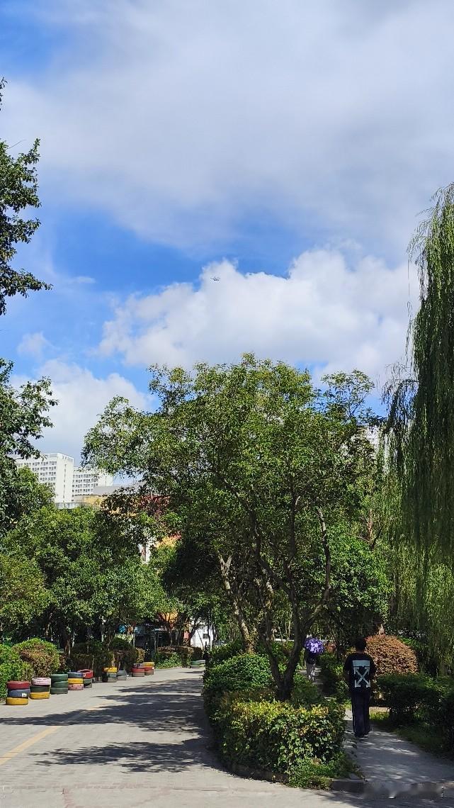 今天早上出门，南京终于放晴，连风里的热度都跟着散得干干净净。
前两周连续35℃+