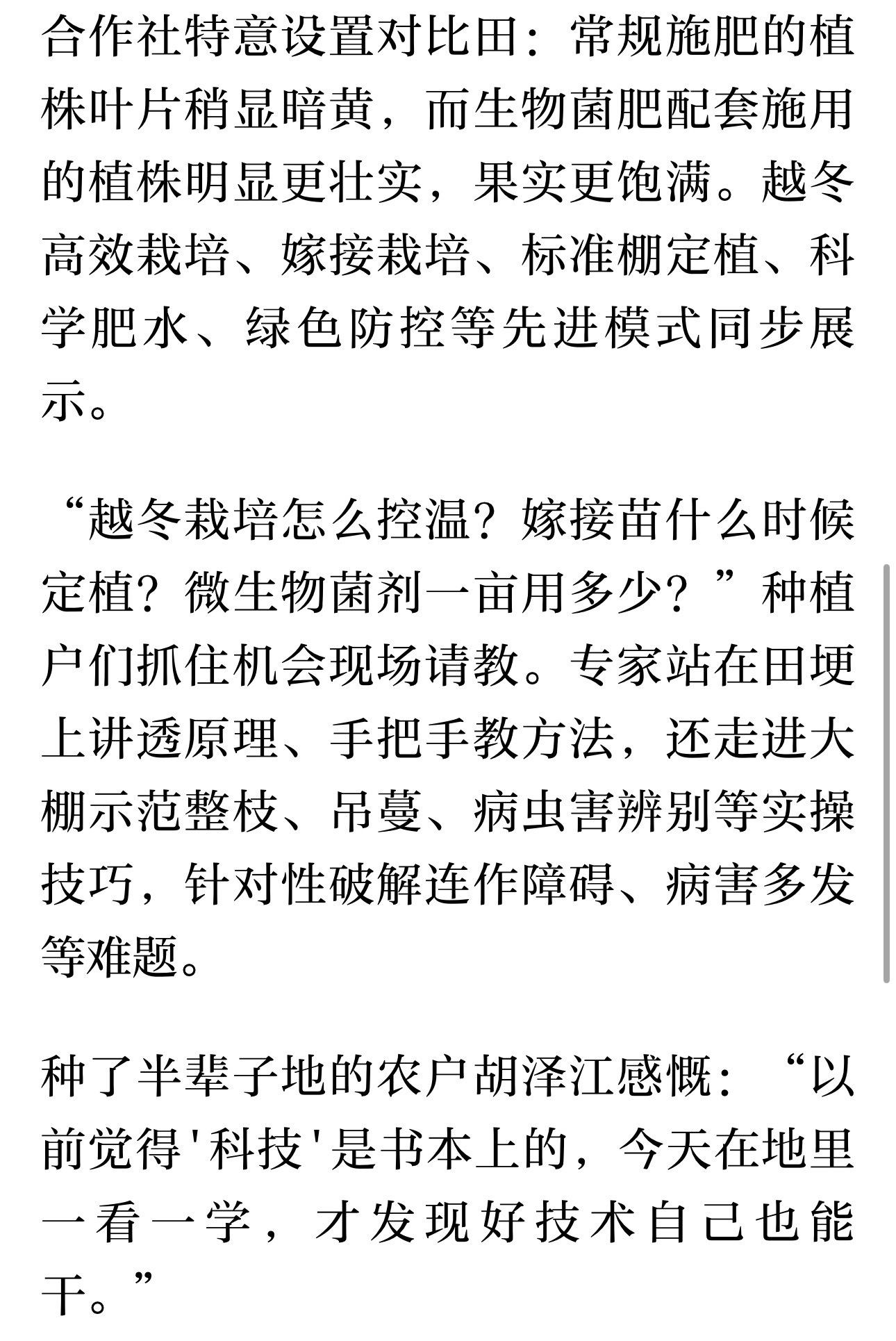 科技赋能宁波宁海打造致富金钥匙 科技赋能番茄种植 宁海胡陈打造增收致富"金钥匙"