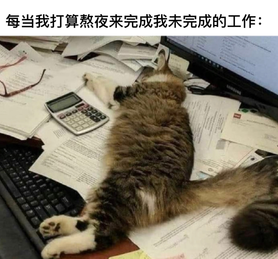 求解脱#今日memes# //#龙年造梗大赛# ​​​