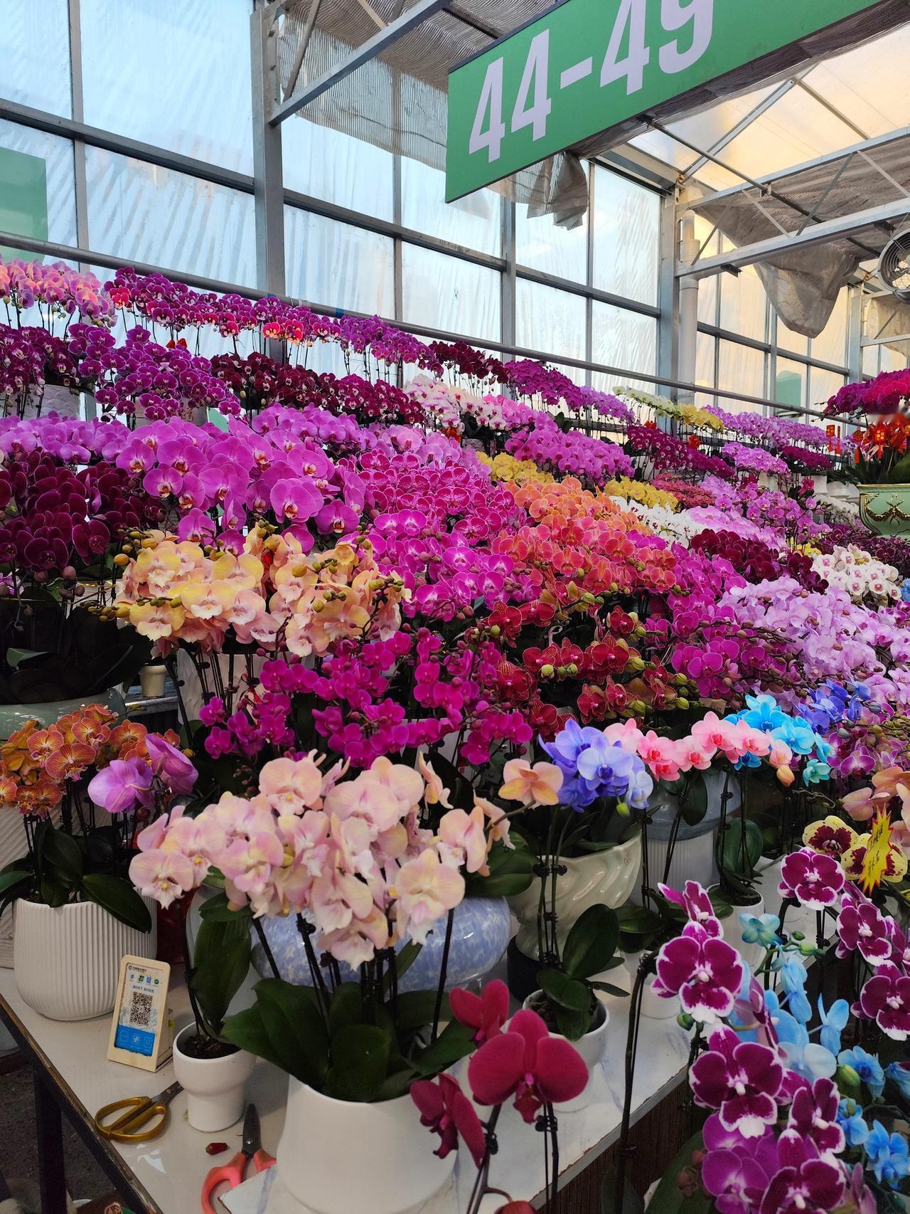 西安城市工业遗迹类园区不少，但运营大获成功的，似乎只剩下叁伍壹壹文创园区了！叁伍