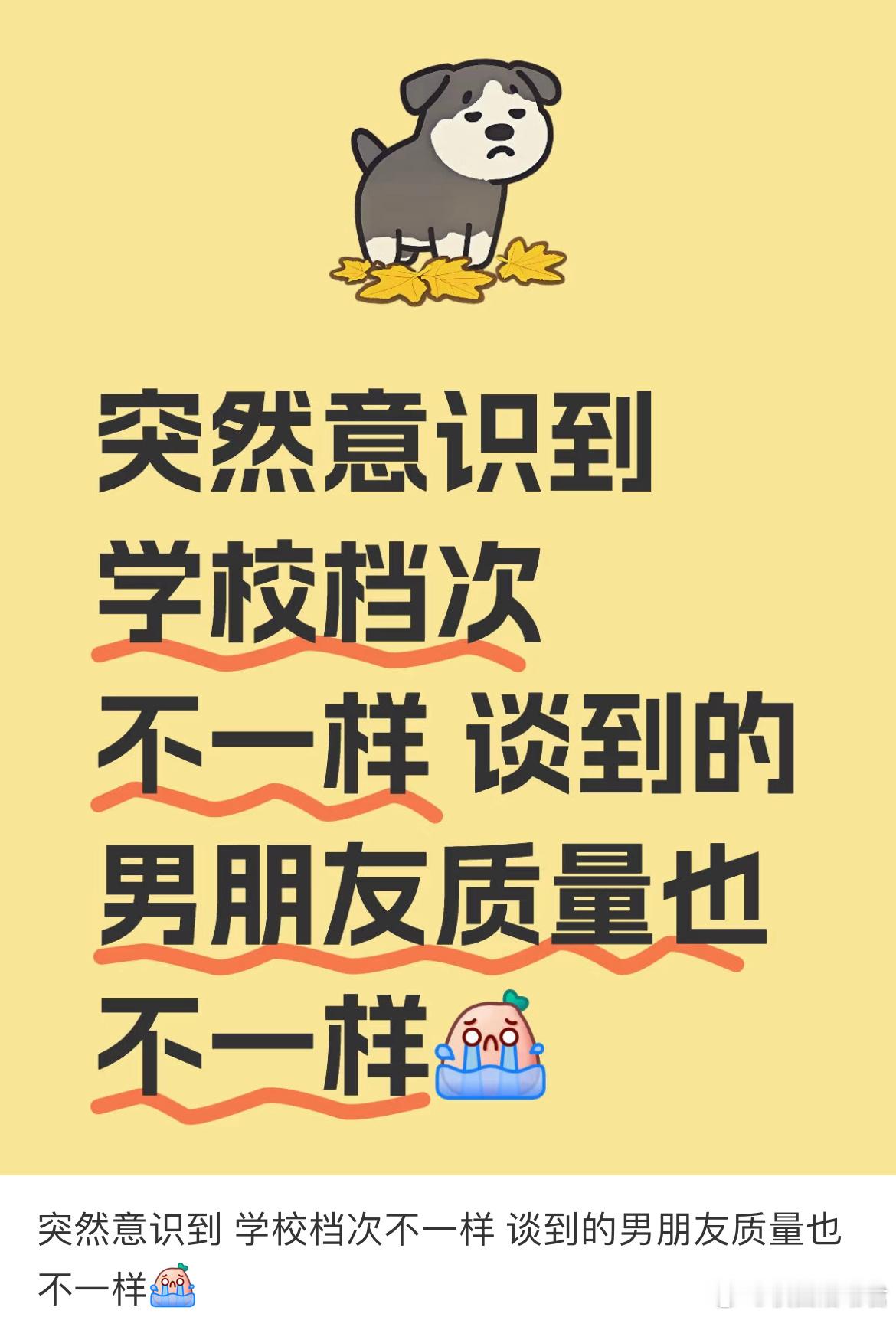 突然意识到 学校档次不一样 谈到的男朋友质量也不一样 ​​​