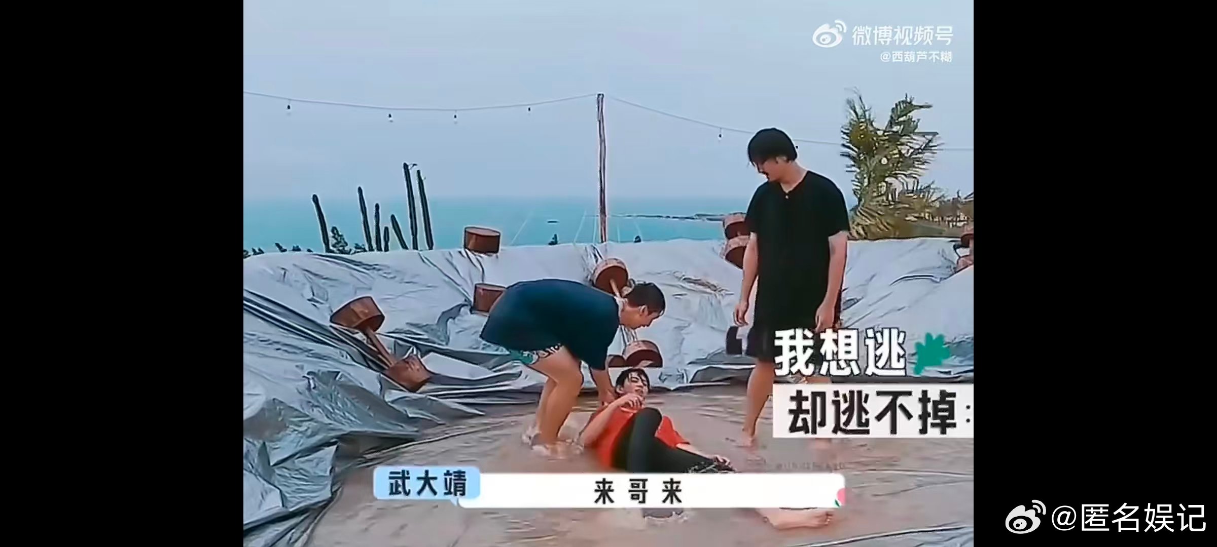 王传君的孩子呢亲爱的客栈找不着王传君的孩子？别急，他带的小孩就是棣棣本人 