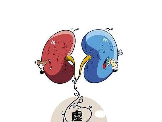 身体出现这几个信号，多是肾精不足的警报！

1、腰膝酸软
表现：腰部和膝关节会没