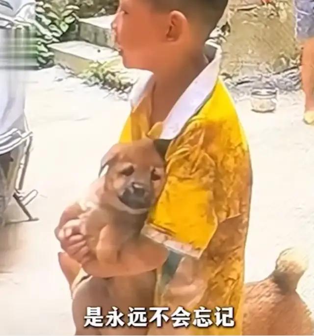 9月4日，广西贺州，一只家里的土狗在生下了5只小狗后，竟被主人亲自用手喂“月子餐