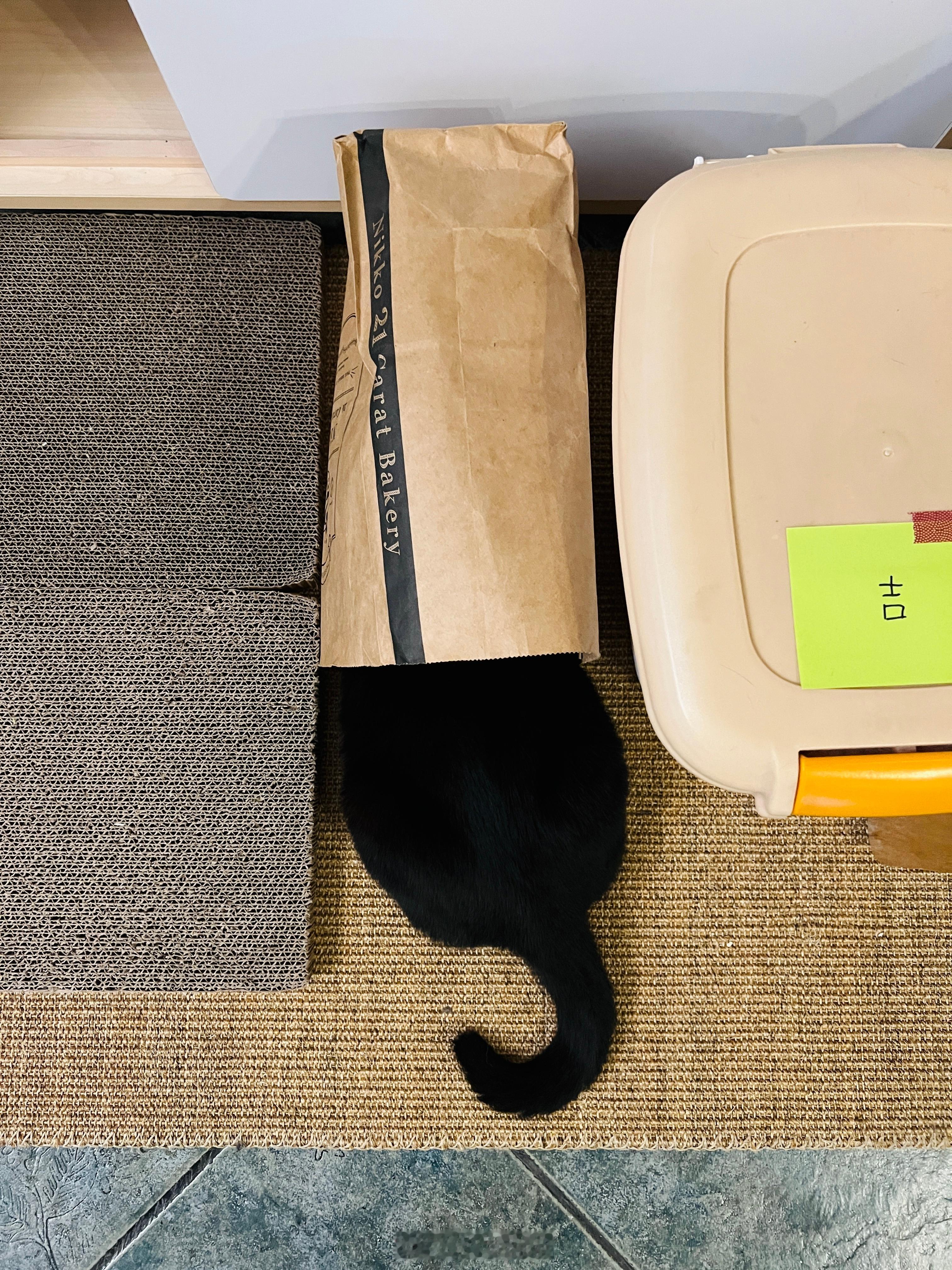 這樣躲貓貓會被人找到啦 