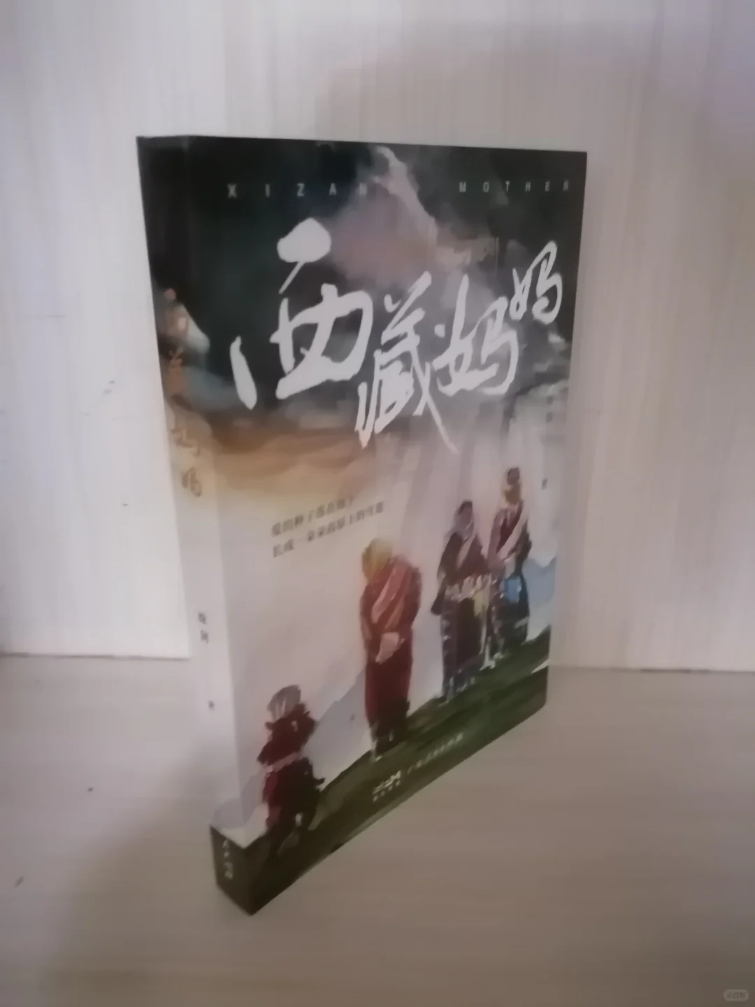 记录无私大爱的感人故事