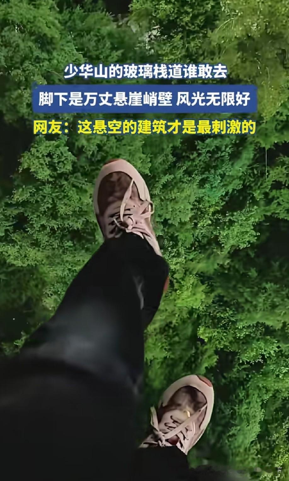 看着都腿软！