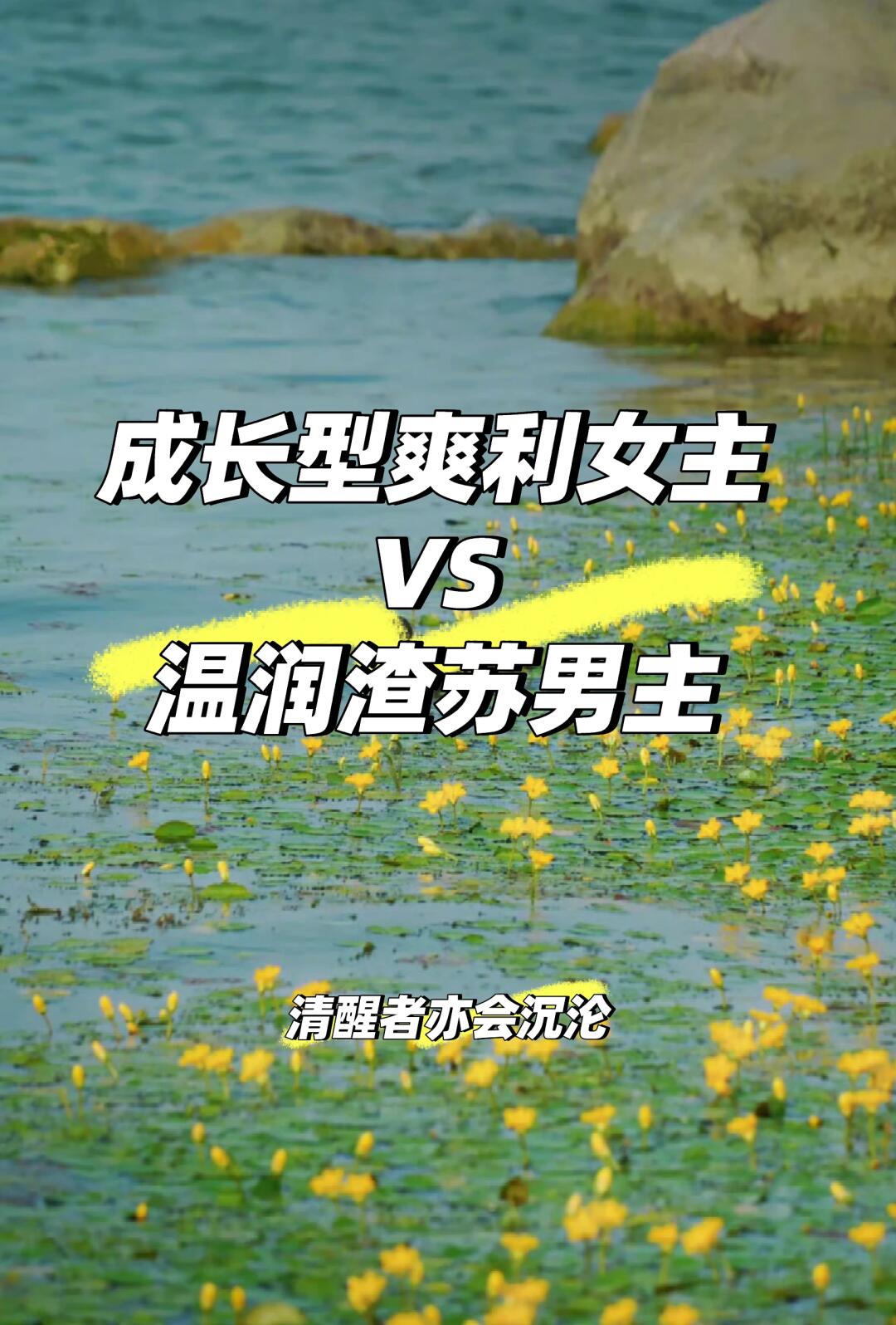 超好看的娱乐圈文推荐：《重生之明星女友》