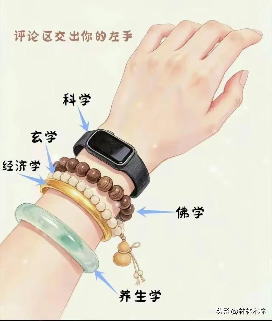 所有的女人
来伸出你的左手让我看看
是不是如下图说说
既有玄学又有科学
还有佛学