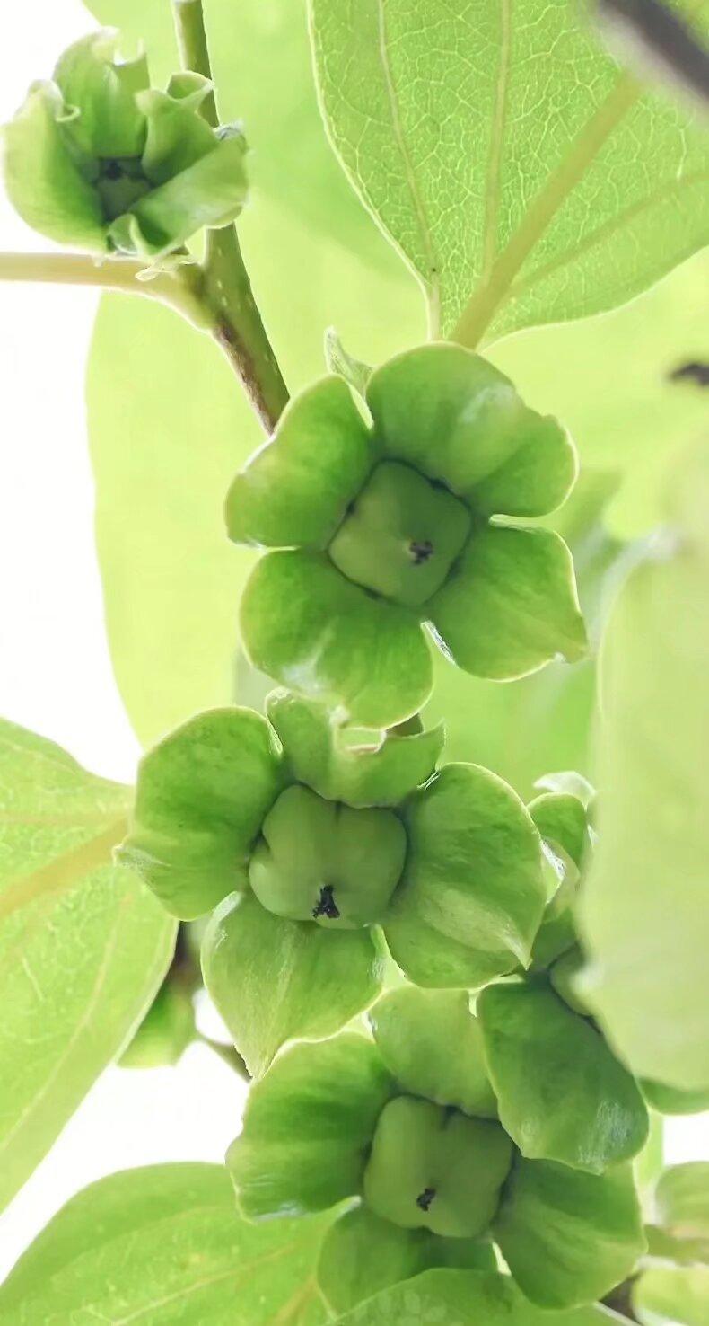 你行的时候，怎么都行； 你不行的时候，什么都不行； 所以你一定要行，不行也得行。