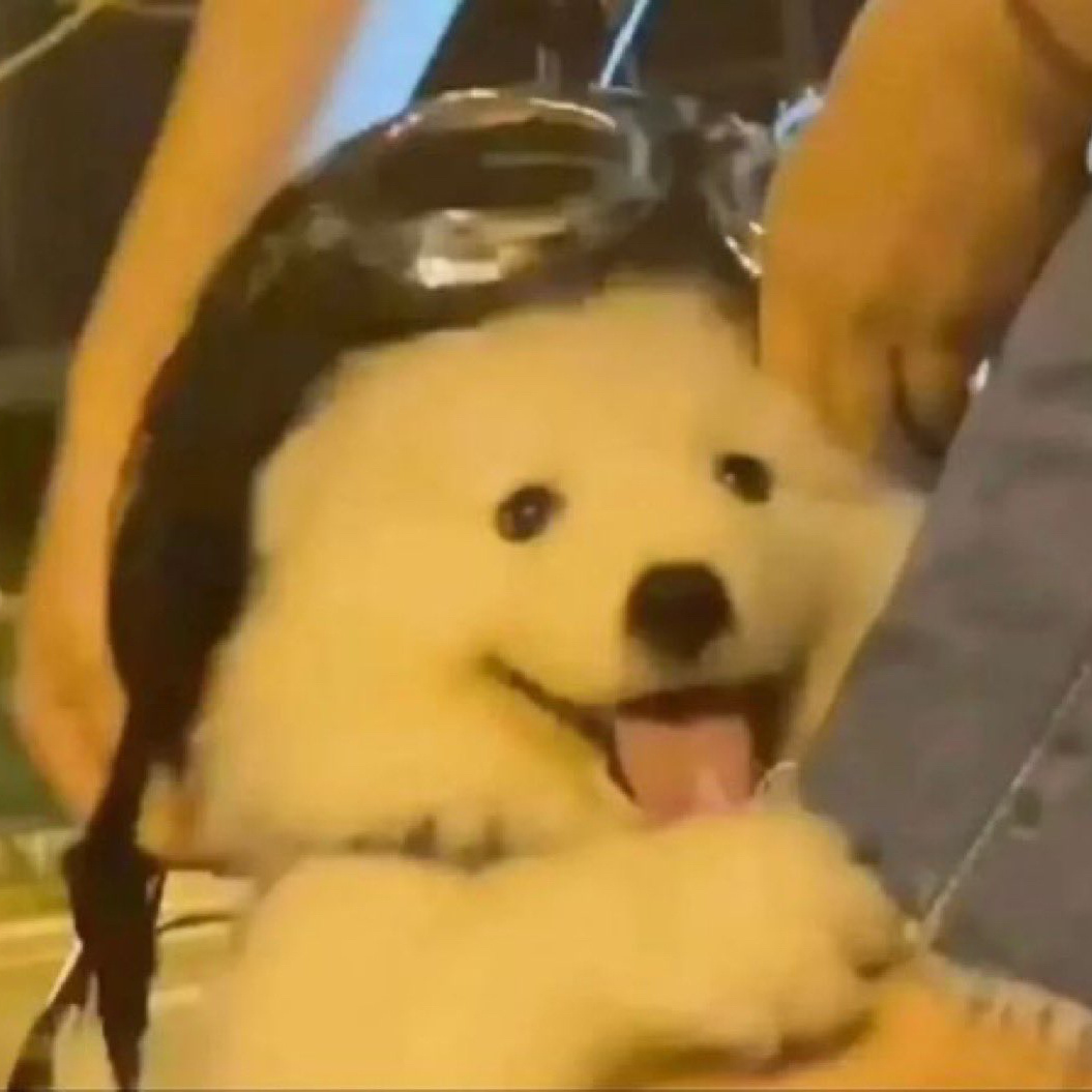 聊聊：你是哪对CP的老嗑户？[举花铃] 