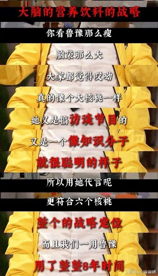 鲁豫脑袋大 梅婷是花瓶 郎朗效果差 六个核桃品牌方谈代言人选择：鲁豫脑袋那么大，