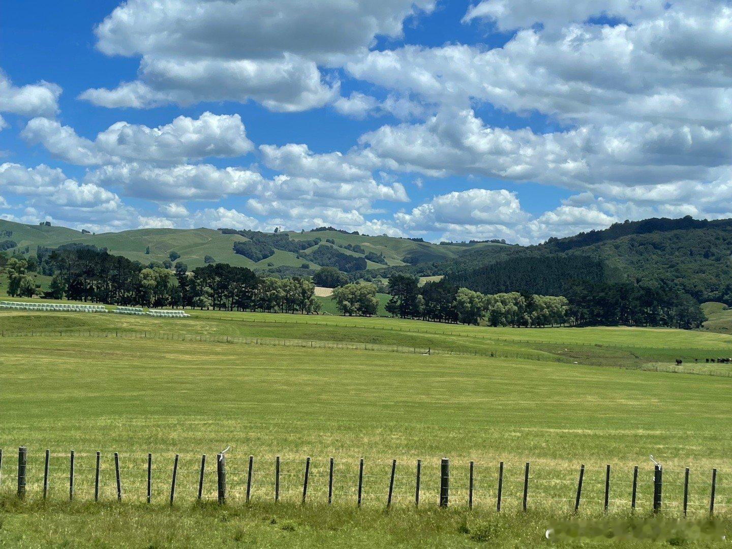 生活手记旅行第九天 Tauranga 参观了霍比特电影拍摄取景地令人窒息的美景，