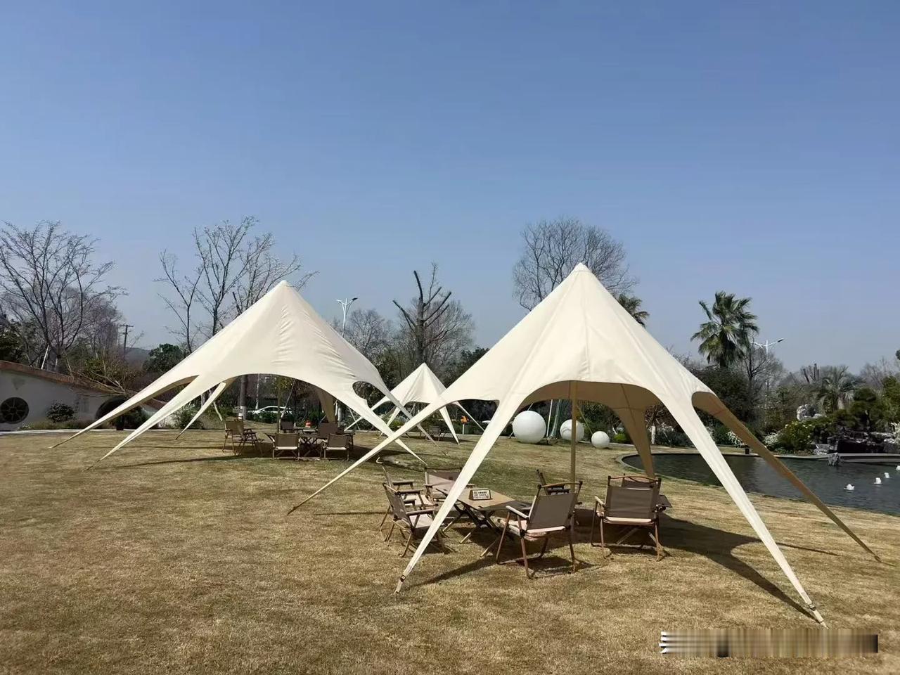 分享城市新鲜事这个又不晒