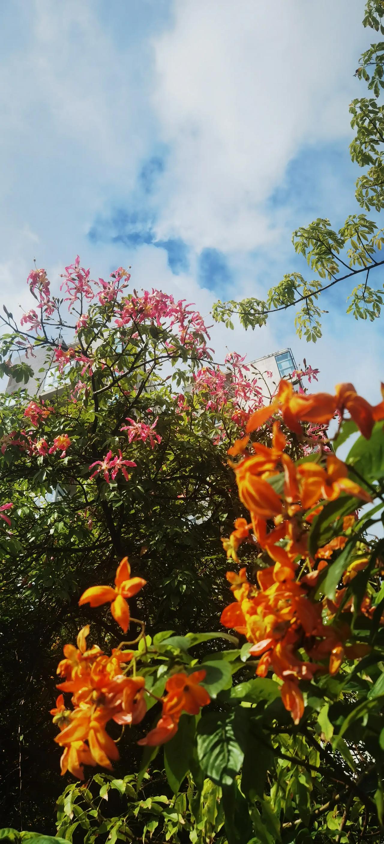 在海南，工作了三十多年，走遍了这个岛上每一个市县。很多事情真的是不堪回首了，想想