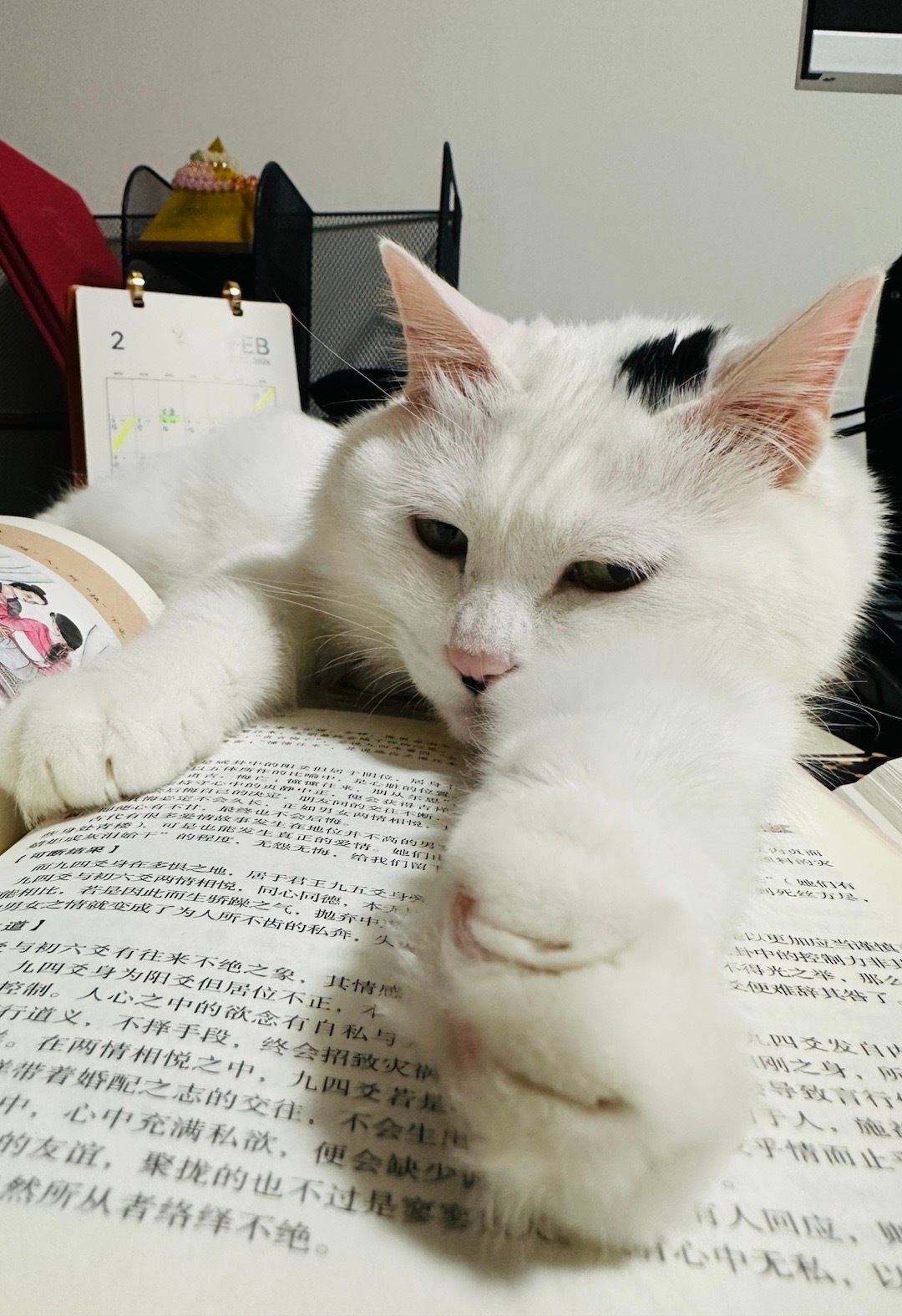 人一旦开始自我欺骗，感知力就会变差。 