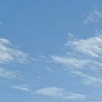 到不了诗和远方 那就去村里的稻田走一走吧🌾