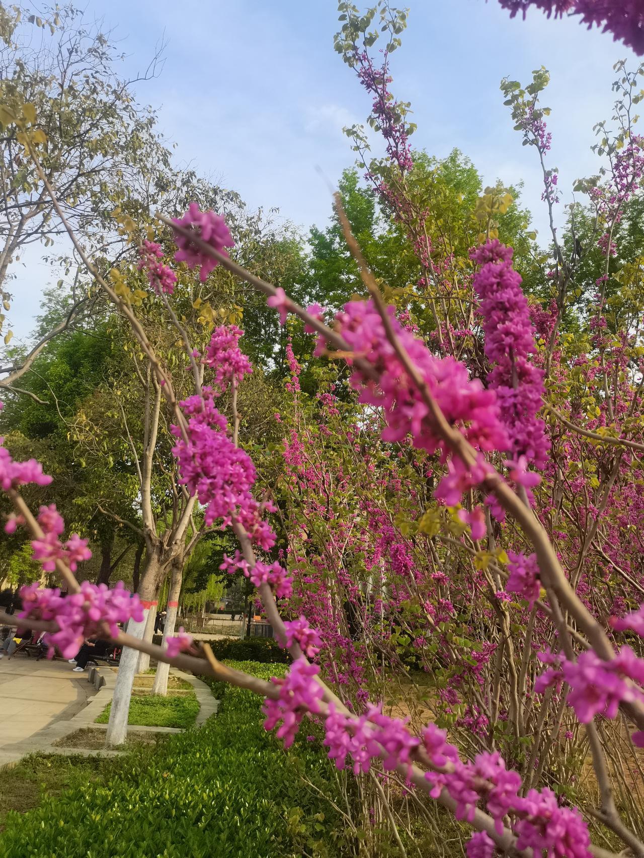 一个家，什么最重要

朋友问我，你理想中的家是什么样子？

我想了很久，不是大客