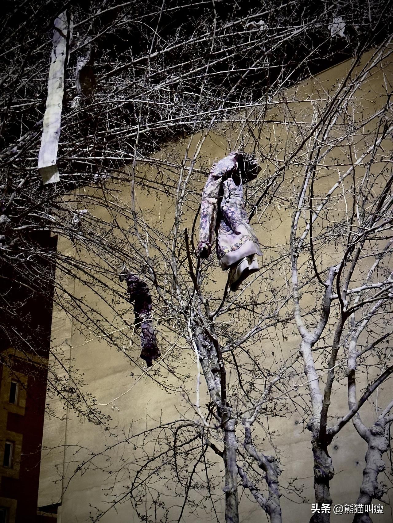 德黑兰，伊朗的首都。

今日凌晨，美国和以色列再度对这座城市发起联合袭击。

三