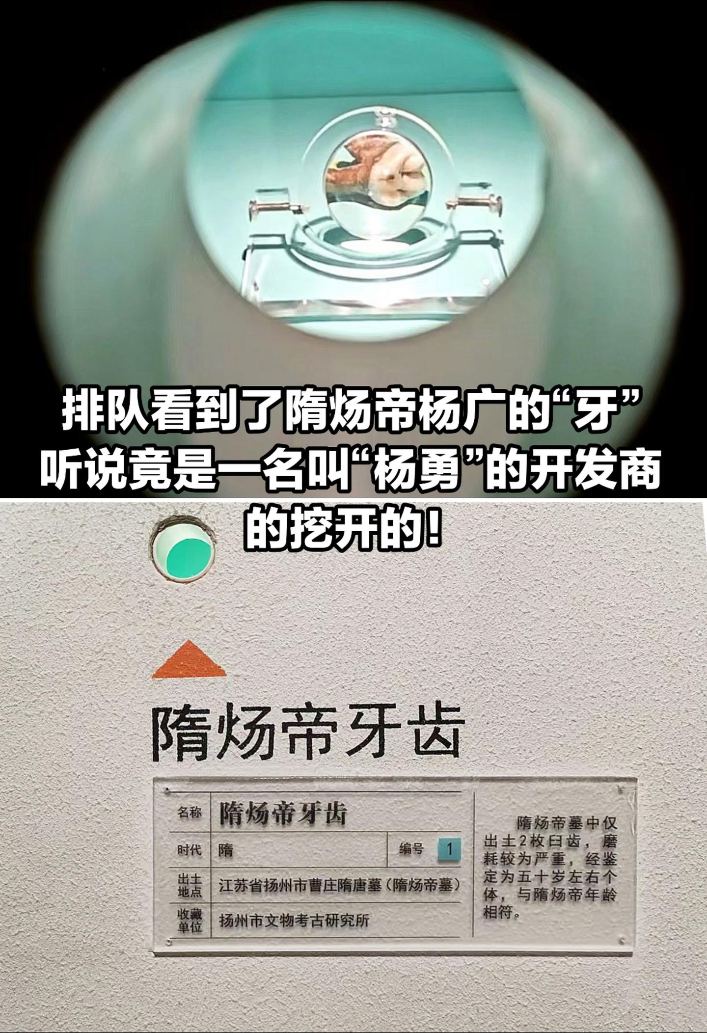 排队看到了隋炀帝杨广的牙齿。