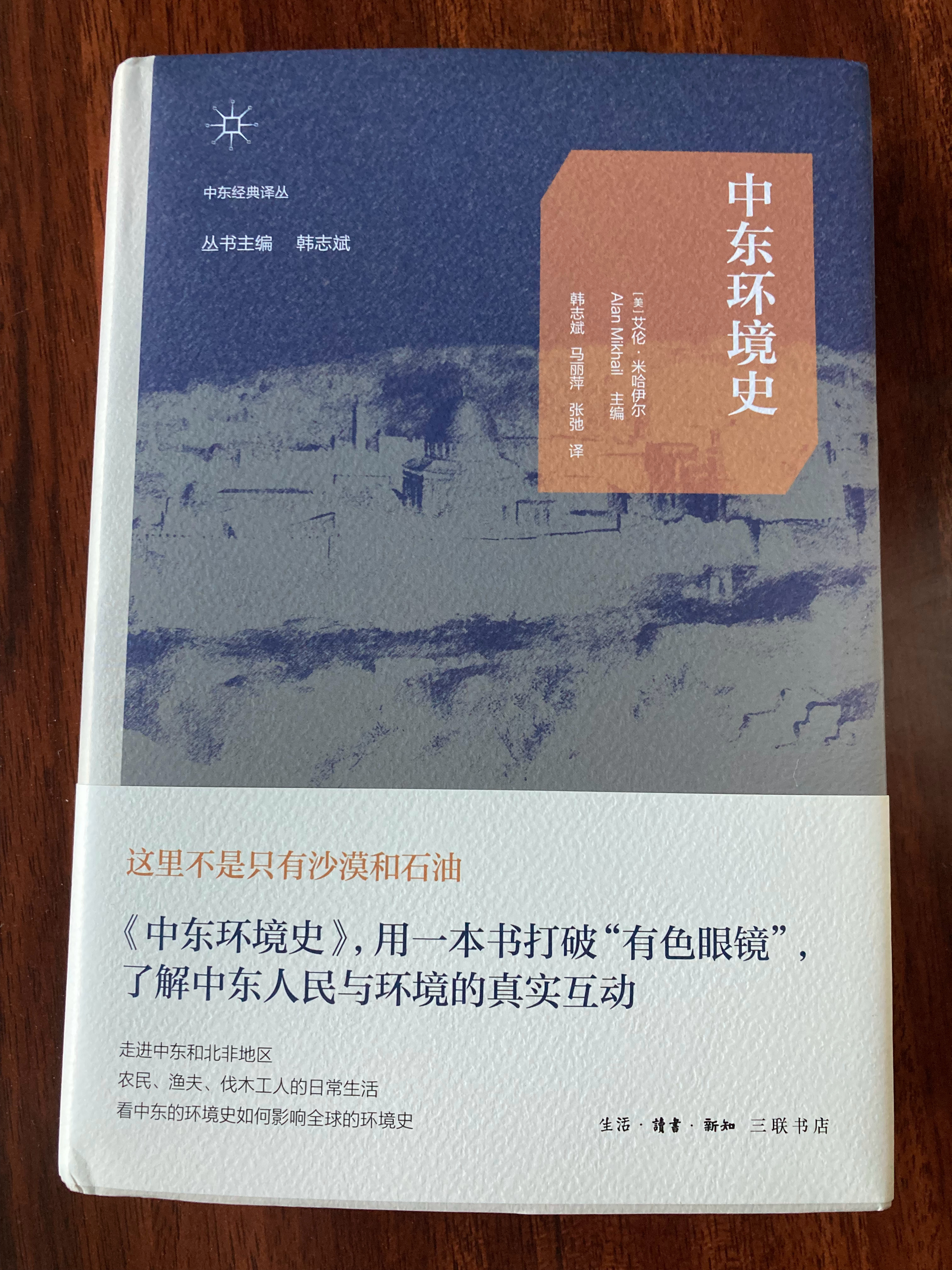 多抓鱼一单 多抓鱼书影 《突厥：一个概念的全球史》《中东环境史》《纵横之间：国际
