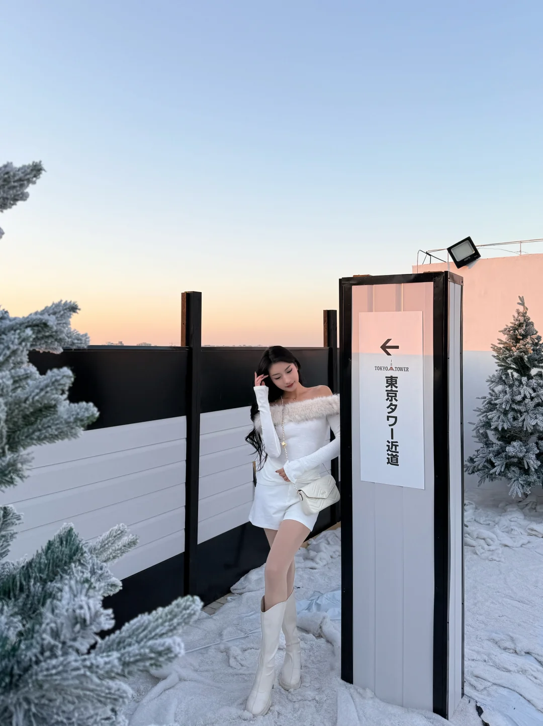 ❄️