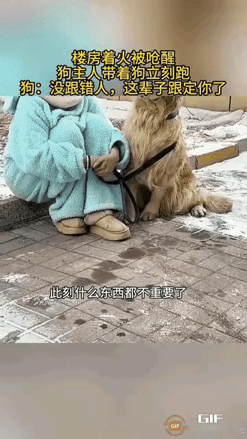 不知道大家有没有想过，危难来临的时候，身边的毛孩子会是什么模样。
      高